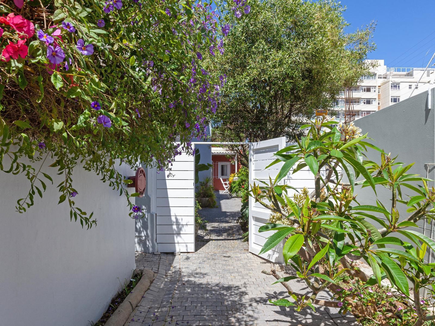 Barry Hall Apartments Fresnaye Cape Town Western Cape South Africa House, Building, Architecture, Plant, Nature, Garden