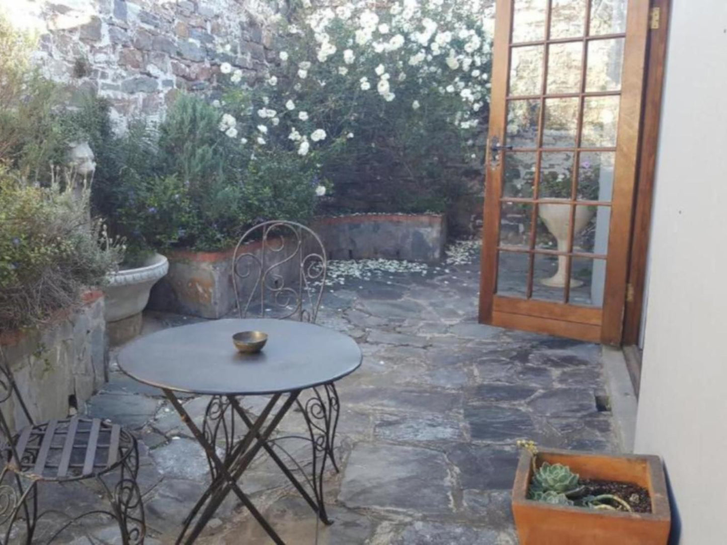 Bartholomew S Loft Grahamstown Eastern Cape South Africa Unsaturated, Garden, Nature, Plant