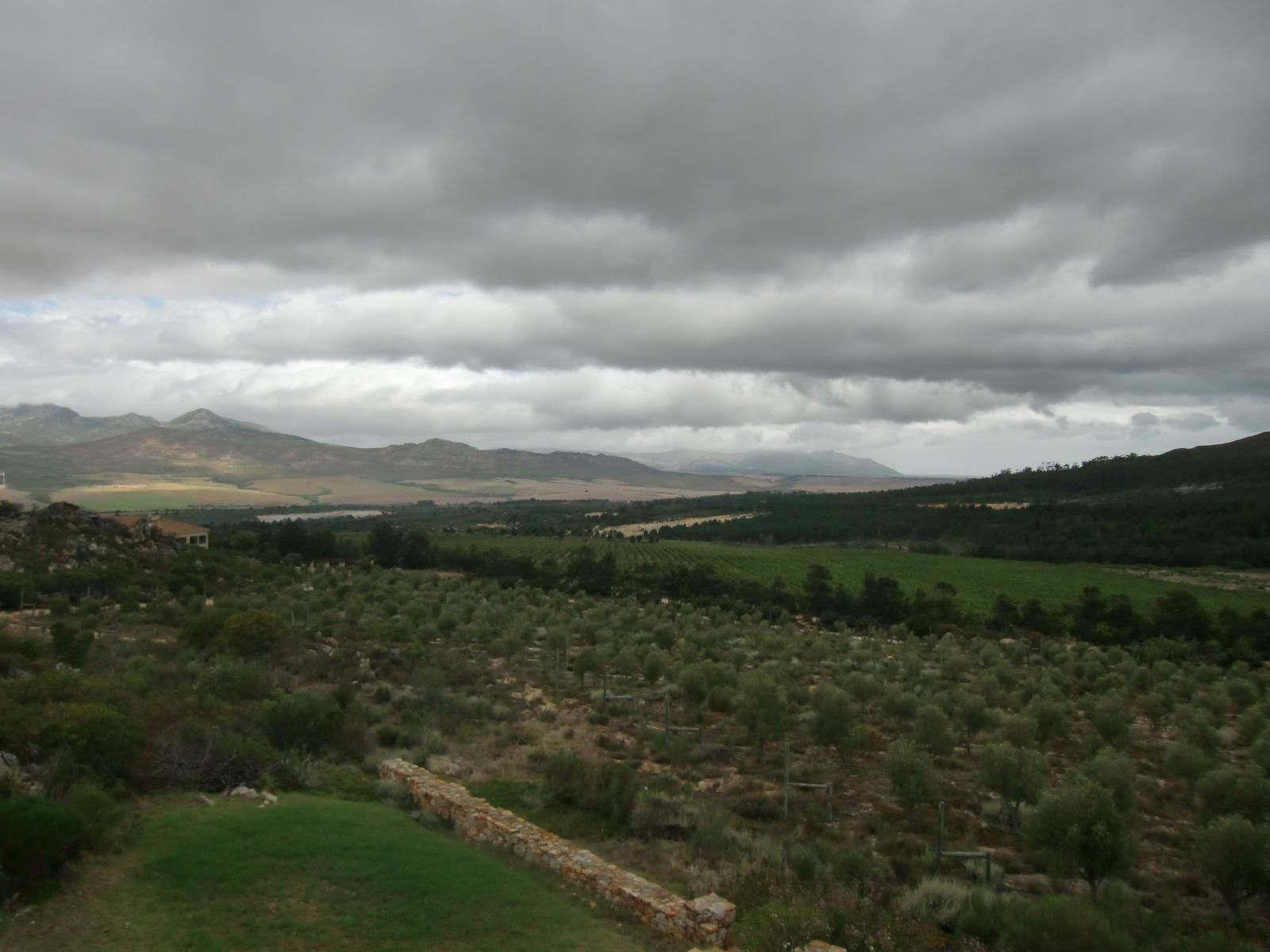 Barton Villas Bot River Western Cape South Africa Highland, Nature