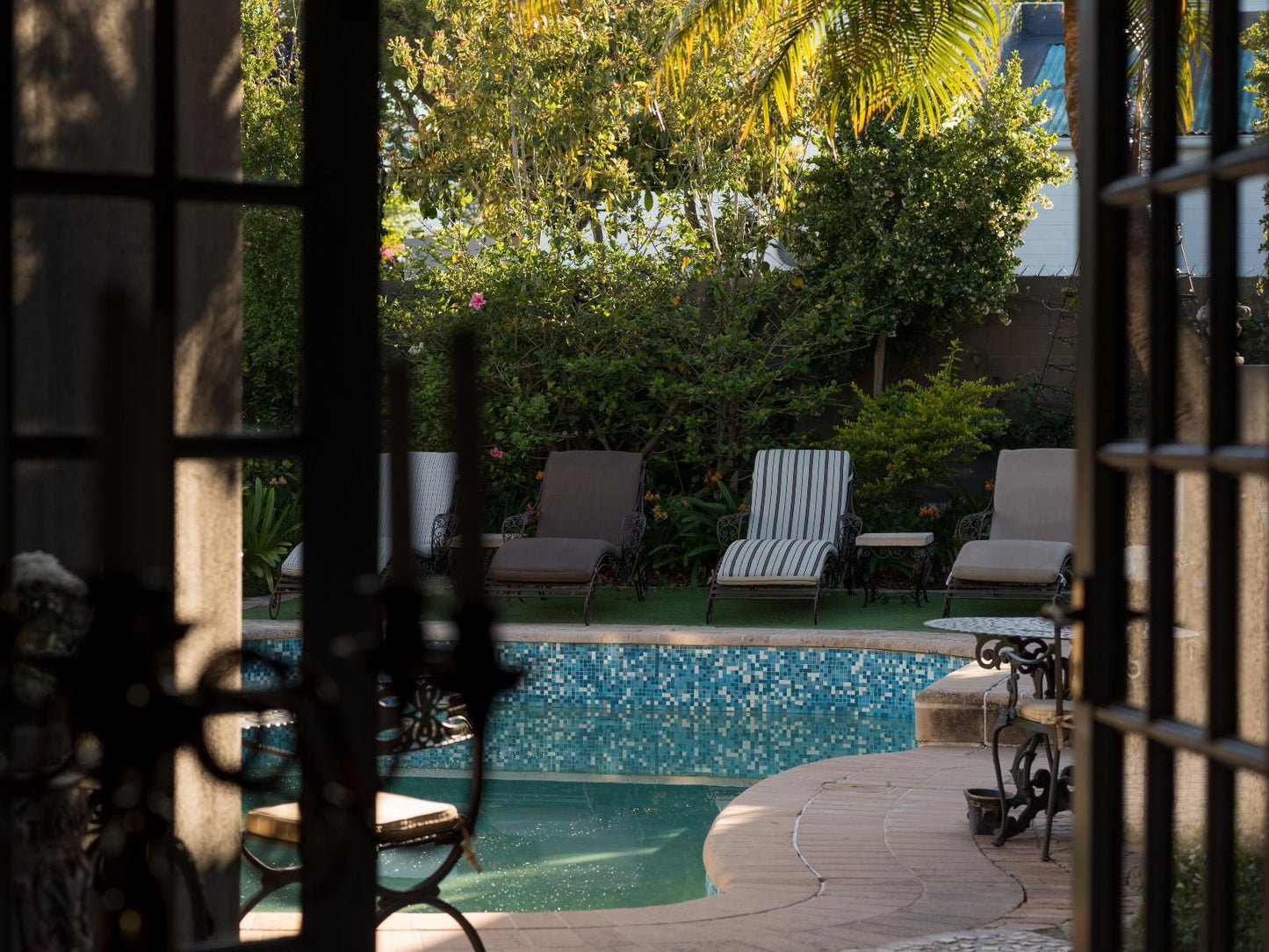 Baruch Guest House Lovell, Palm Tree, Plant, Nature, Wood, Garden, Swimming Pool