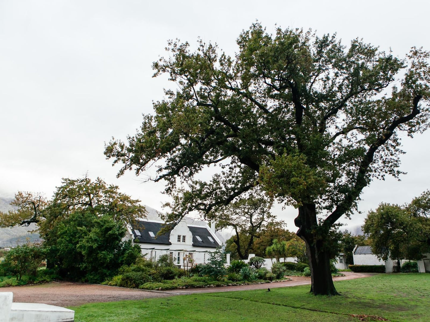 Basse Provence Guest House Franschhoek Western Cape South Africa House, Building, Architecture, Plant, Nature, Tree, Wood