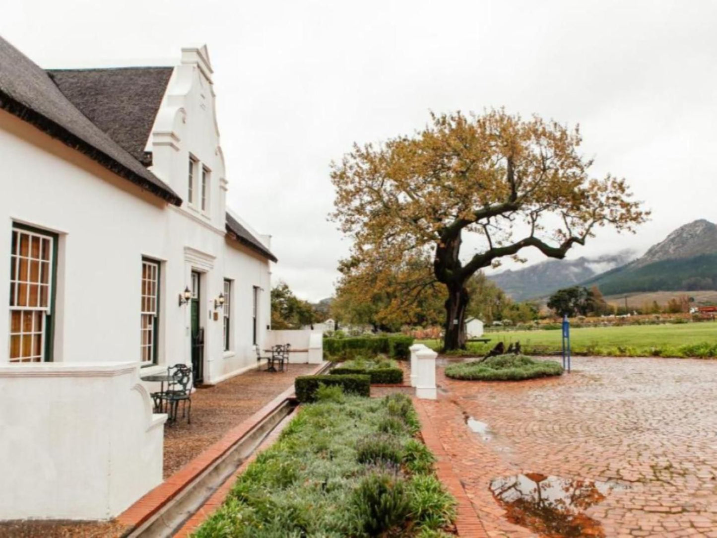 Basse Provence Guest House Franschhoek Western Cape South Africa House, Building, Architecture, Highland, Nature