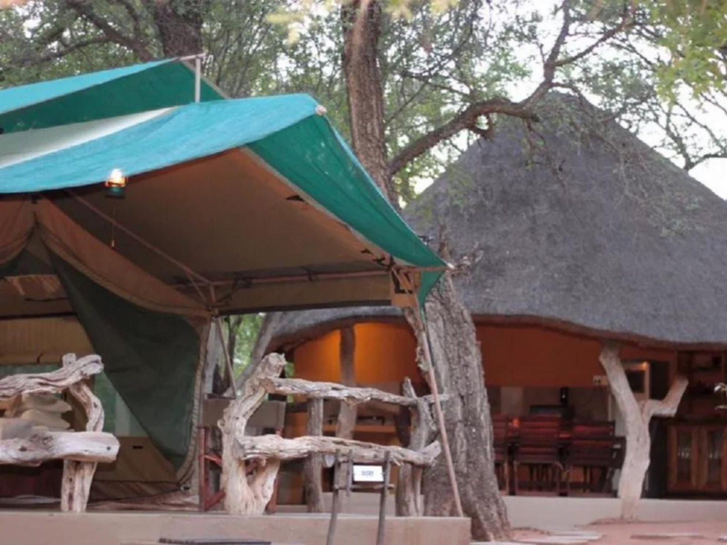 Bateleur Tented Safari Lodge And Bush Spa, Hemmingway Standard Luxury Tent, Tent, Architecture