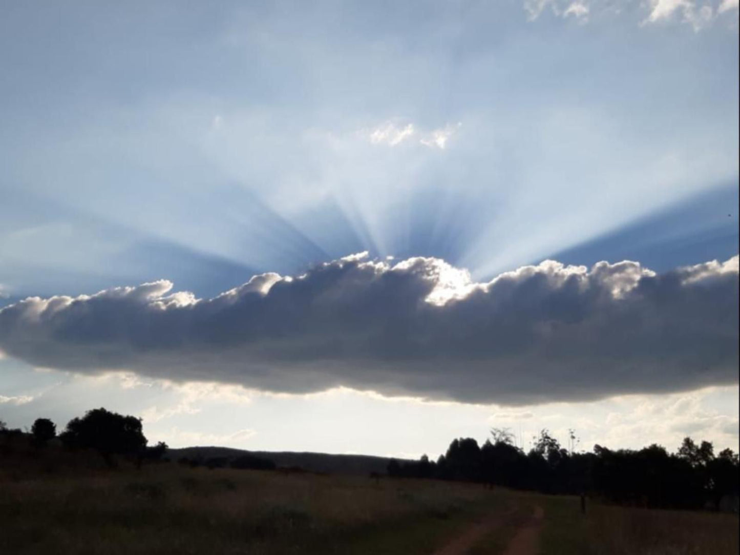 Bateleur Nature Reserve Modimolle Nylstroom Limpopo Province South Africa Sky, Nature, Clouds