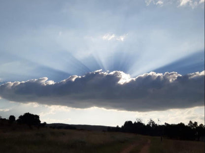 Bateleur Nature Reserve Modimolle Nylstroom Limpopo Province South Africa Sky, Nature, Clouds