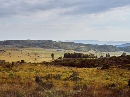 Bateleur Nature Reserve Modimolle Nylstroom Limpopo Province South Africa Lowland, Nature