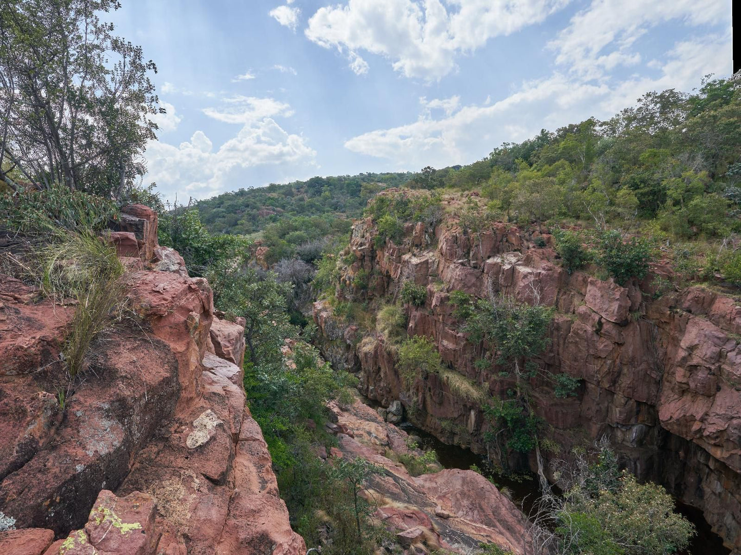 Bateleur Nature Reserve Modimolle Nylstroom Limpopo Province South Africa Canyon, Nature