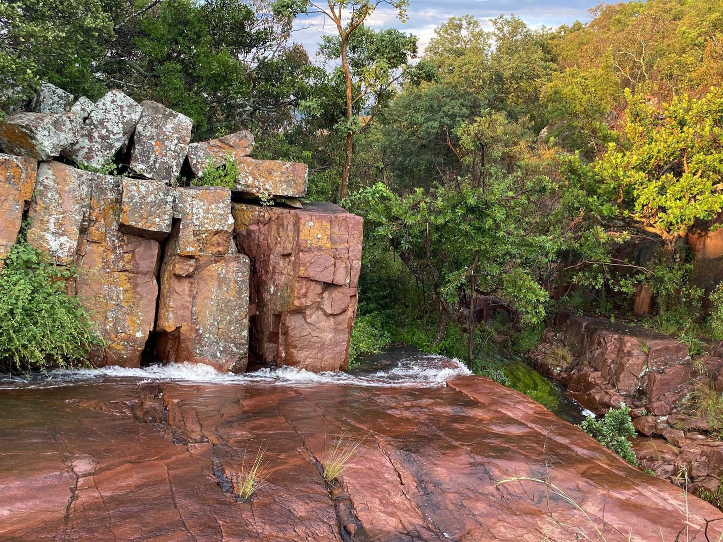 Bateleur Nature Reserve Modimolle Nylstroom Limpopo Province South Africa River, Nature, Waters, Tree, Plant, Wood, Waterfall