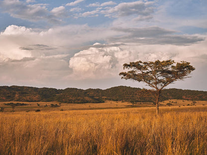 Bateleur Nature Reserve Modimolle Nylstroom Limpopo Province South Africa Lowland, Nature