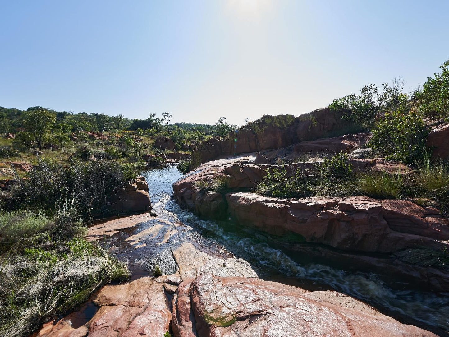 Bateleur Nature Reserve Modimolle Nylstroom Limpopo Province South Africa River, Nature, Waters