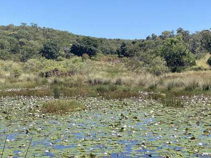 Bateleur Nature Reserve Modimolle Nylstroom Limpopo Province South Africa Complementary Colors, River, Nature, Waters