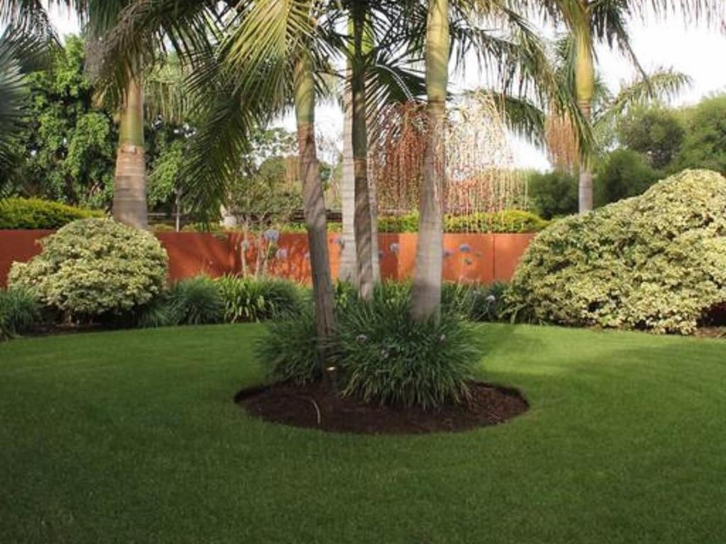 Batter Boys Guest House Montana Pretoria Pretoria Tshwane Gauteng South Africa Palm Tree, Plant, Nature, Wood, Garden