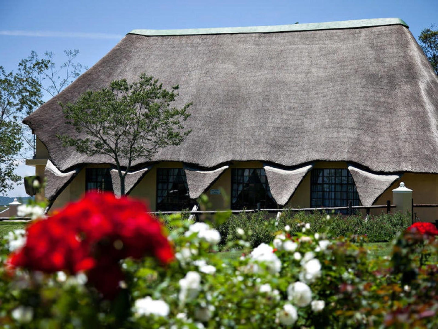 Battlefields Country Lodge Dundee Kwazulu Natal South Africa House, Building, Architecture, Window