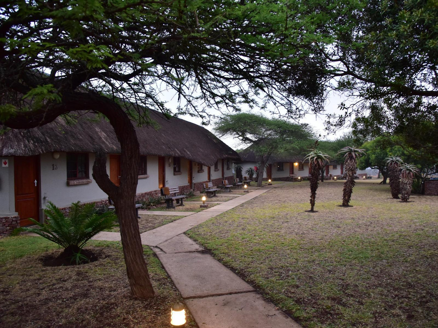 Safari Standard Room @ Bayala Private Safari Lodge And Camp