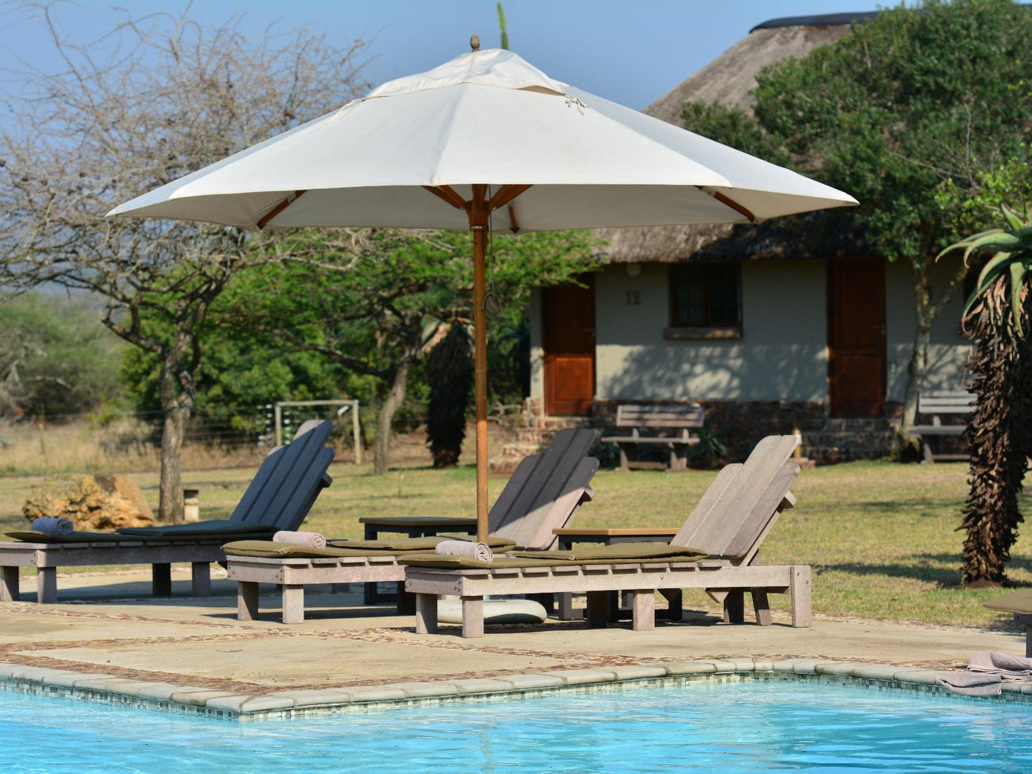 Safari Standard Room @ Bayala Private Safari Lodge And Camp