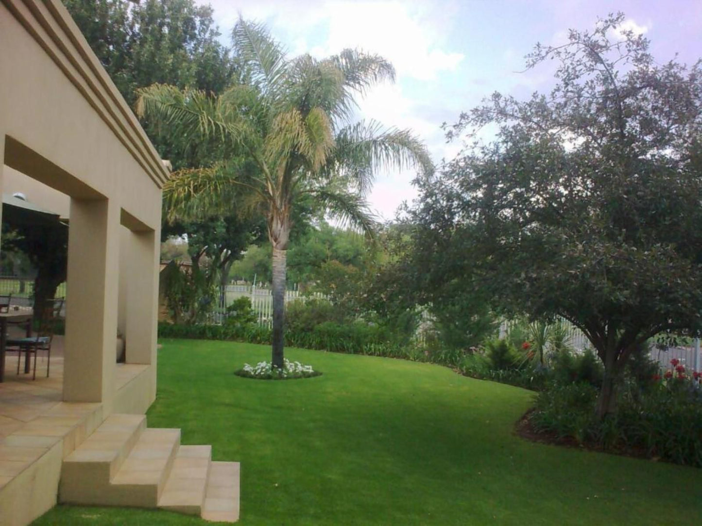 Bayswater Lodge Bayswater Bloemfontein Free State South Africa Palm Tree, Plant, Nature, Wood, Garden