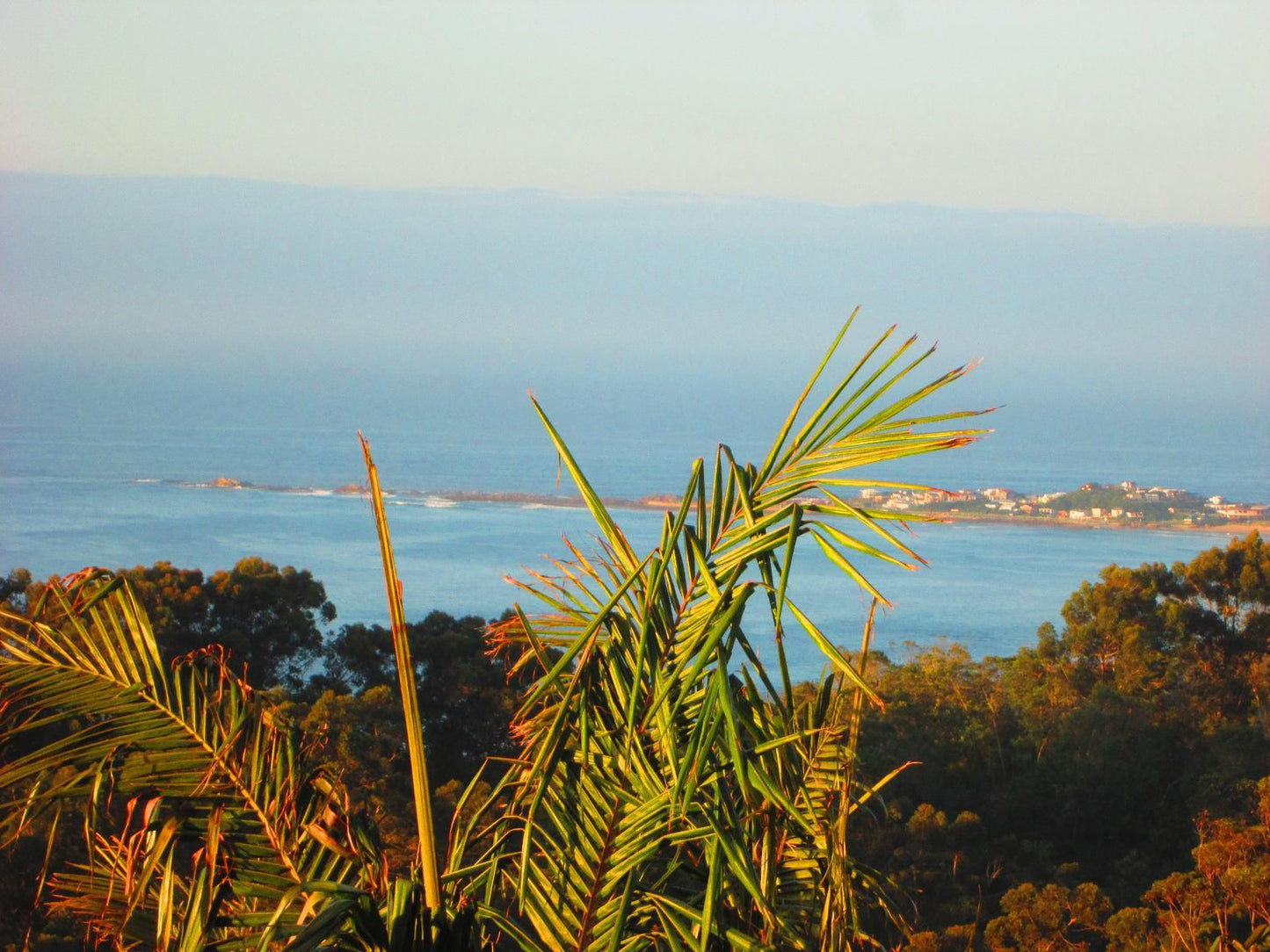 110Bayview Brenton On Sea Knysna Western Cape South Africa Complementary Colors, Beach, Nature, Sand, Palm Tree, Plant, Wood