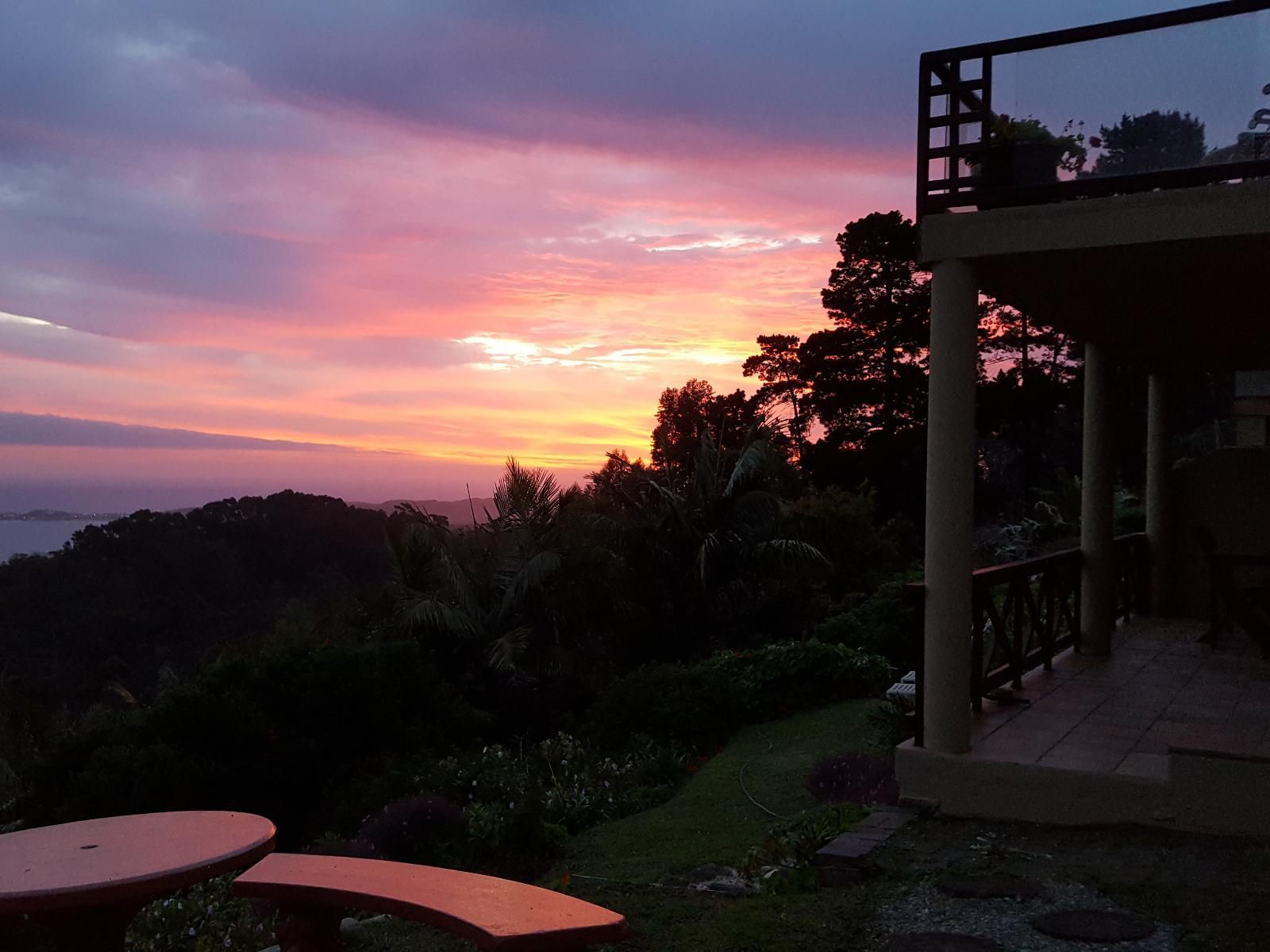 110Bayview Brenton On Sea Knysna Western Cape South Africa Palm Tree, Plant, Nature, Wood, Sky, Framing, Sunset