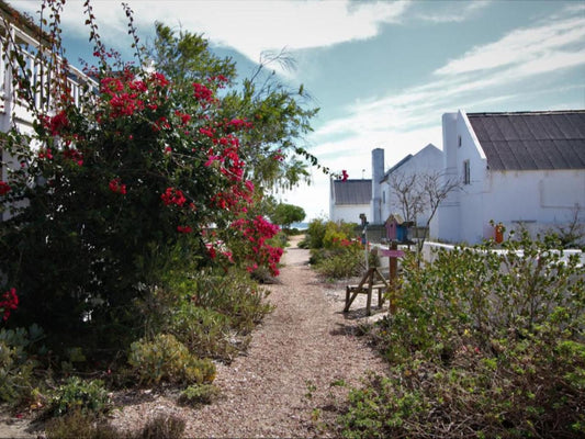 Baywatch Villa Collection Mosselbank Paternoster Western Cape South Africa House, Building, Architecture, Plant, Nature