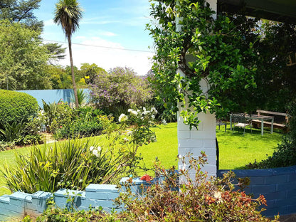 Bandb On Buckingham Craighall Park Johannesburg Gauteng South Africa Palm Tree, Plant, Nature, Wood, Garden