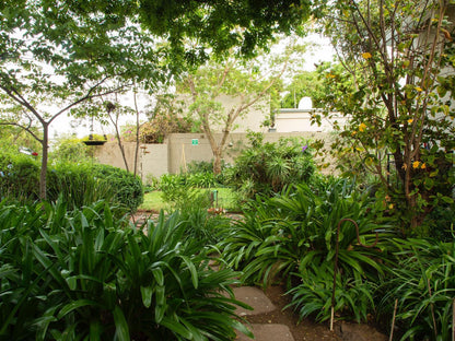 Be My Guest Bed Book And Breakfast Melville Johannesburg Gauteng South Africa Palm Tree, Plant, Nature, Wood, Garden