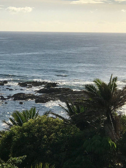 Beach Apartment Ramsgate Beach Margate Kwazulu Natal South Africa Beach, Nature, Sand, Cliff, Palm Tree, Plant, Wood, Wave, Waters, Ocean