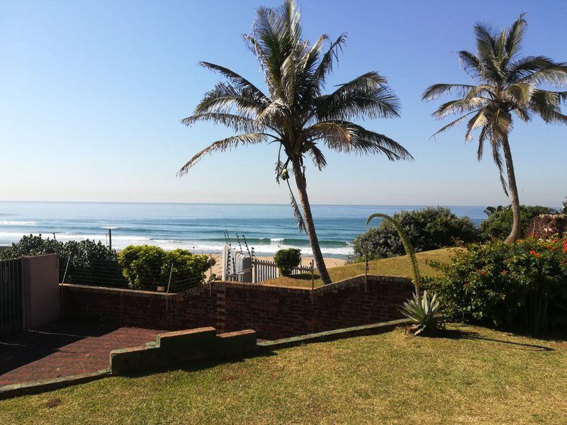 Beach Fantasea Winklespruit Kingsburgh Kwazulu Natal South Africa Complementary Colors, Beach, Nature, Sand, Palm Tree, Plant, Wood