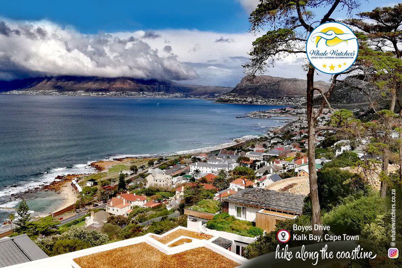 Beach Loft Muizenberg Cape Town Western Cape South Africa Complementary Colors, Beach, Nature, Sand, City, Architecture, Building