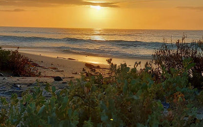 Beach Ruhls Dwarskersbos Western Cape South Africa Beach, Nature, Sand, Ocean, Waters, Sunset, Sky