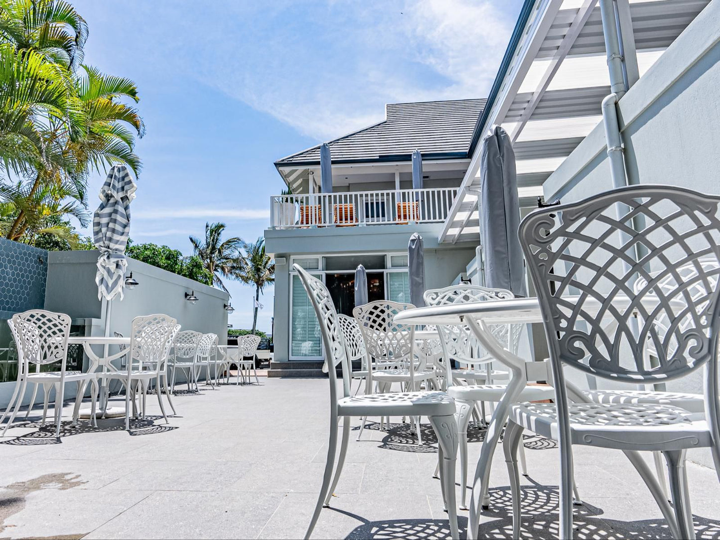 Beach Wood Boutique Hotel & Resort, Palm Tree, Plant, Nature, Wood