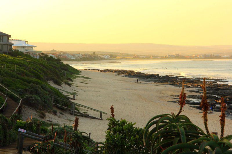 Beach House Wavescrest Jeffreys Bay Jeffreys Bay Eastern Cape South Africa Beach, Nature, Sand, Palm Tree, Plant, Wood