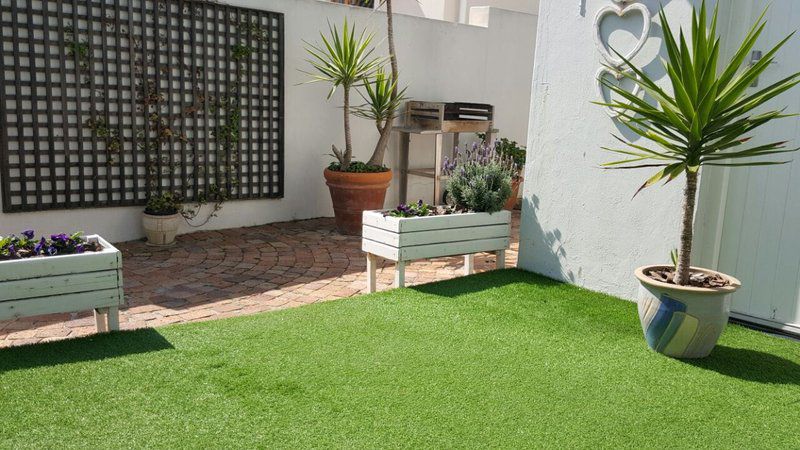 Beach Living Apartment Melkbosstrand Cape Town Western Cape South Africa Plant, Nature, Garden