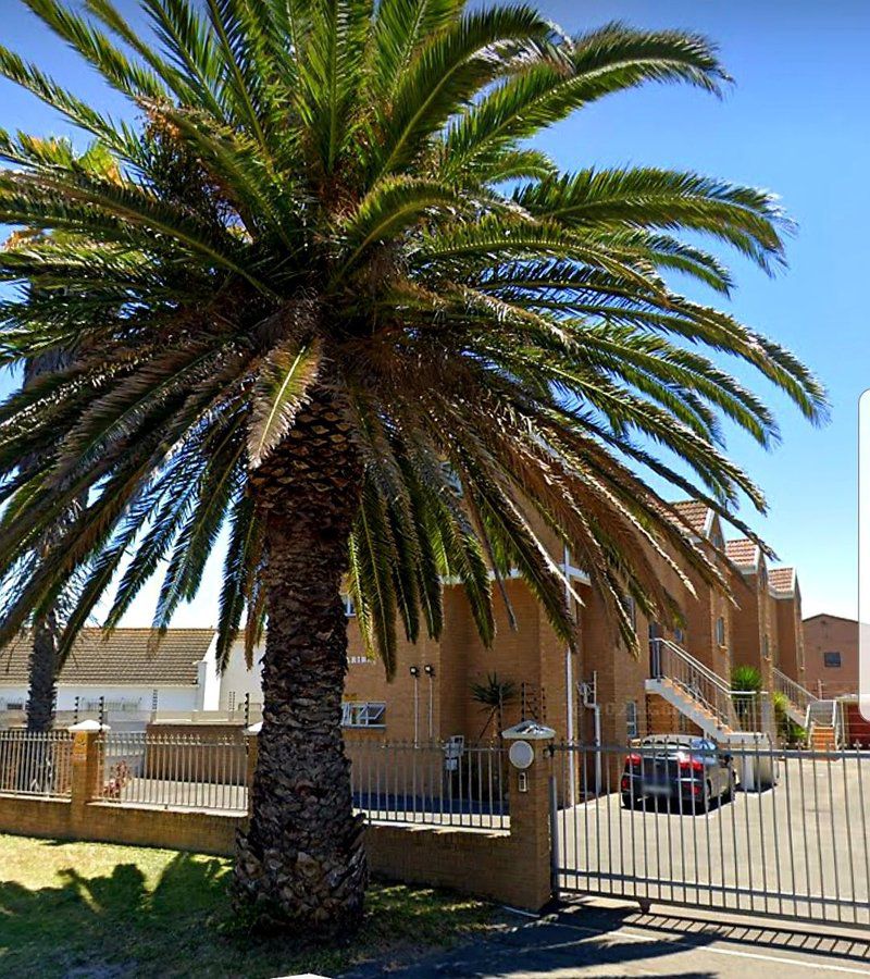 Beach Style Holiday Apartment Bloubergrant Blouberg Western Cape South Africa Palm Tree, Plant, Nature, Wood