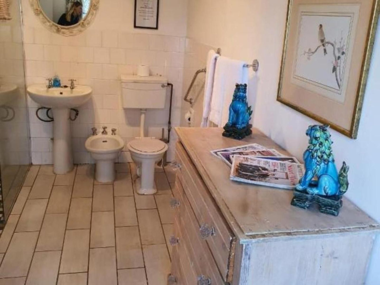 Beacon Vlei Guest Farm Balgowan Kwazulu Natal South Africa Bathroom