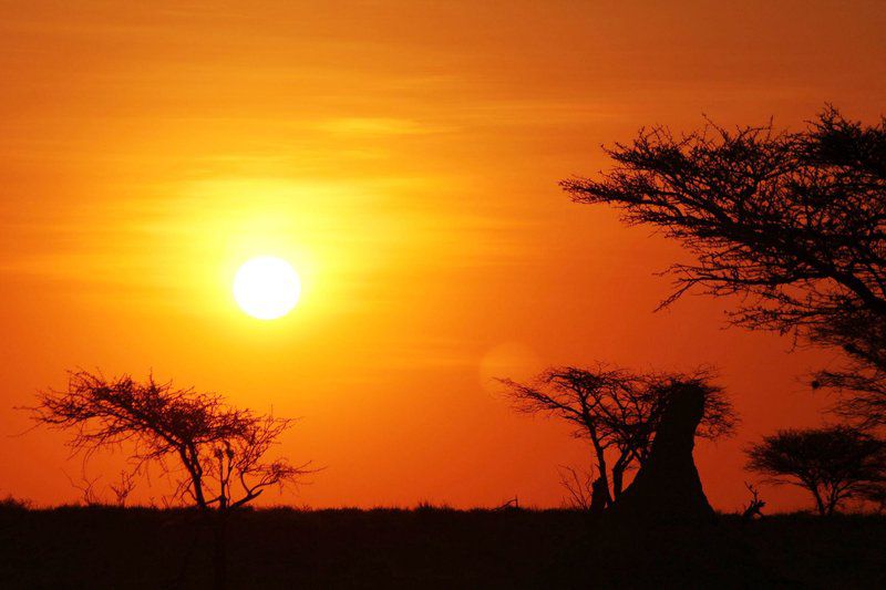 Bealey Buffels Trust Musina Messina Limpopo Province South Africa Colorful, Silhouette, Sky, Nature, Desert, Sand, Sunset