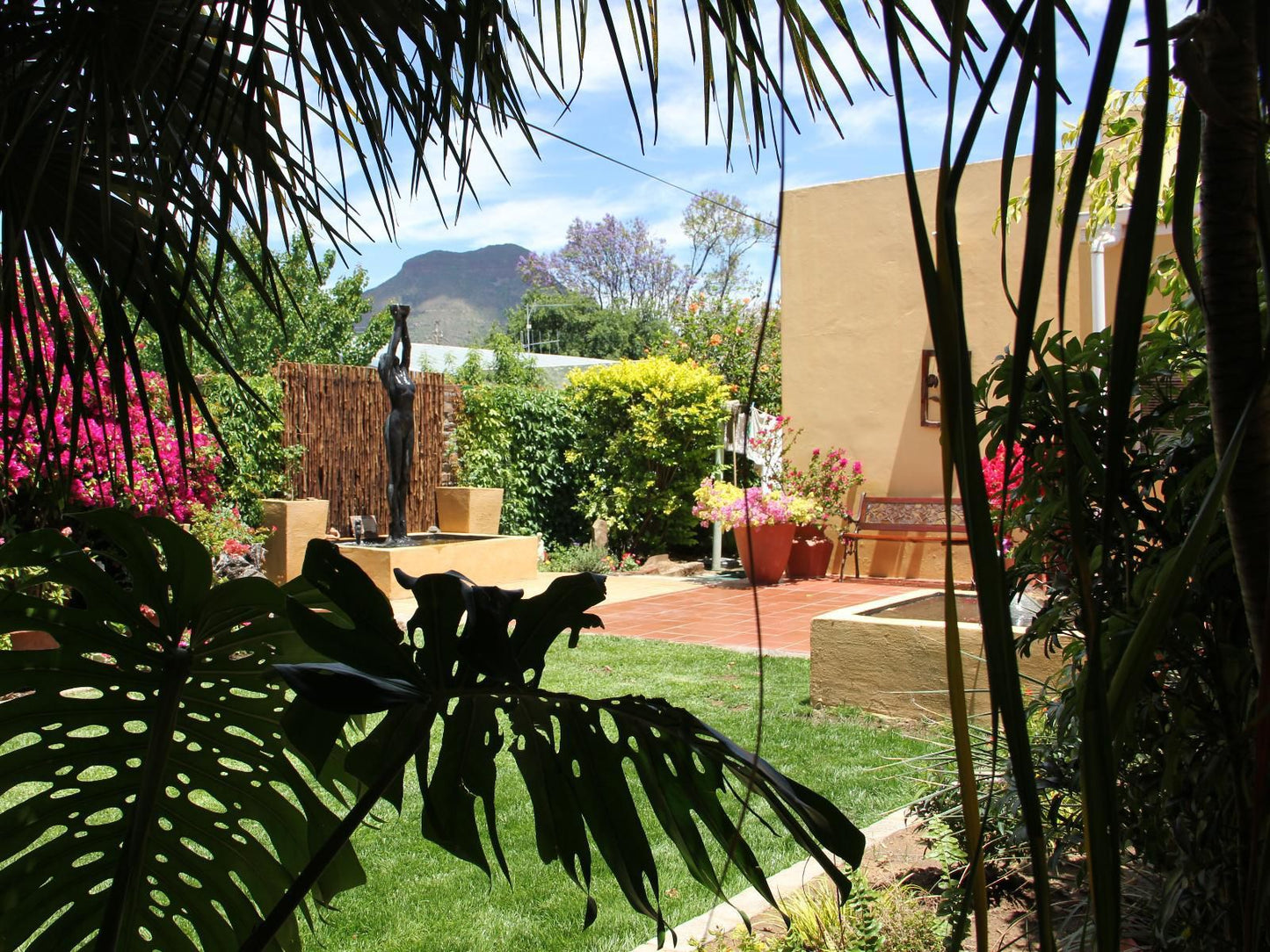 Beau And I Graaff Reinet Eastern Cape South Africa Palm Tree, Plant, Nature, Wood, Garden