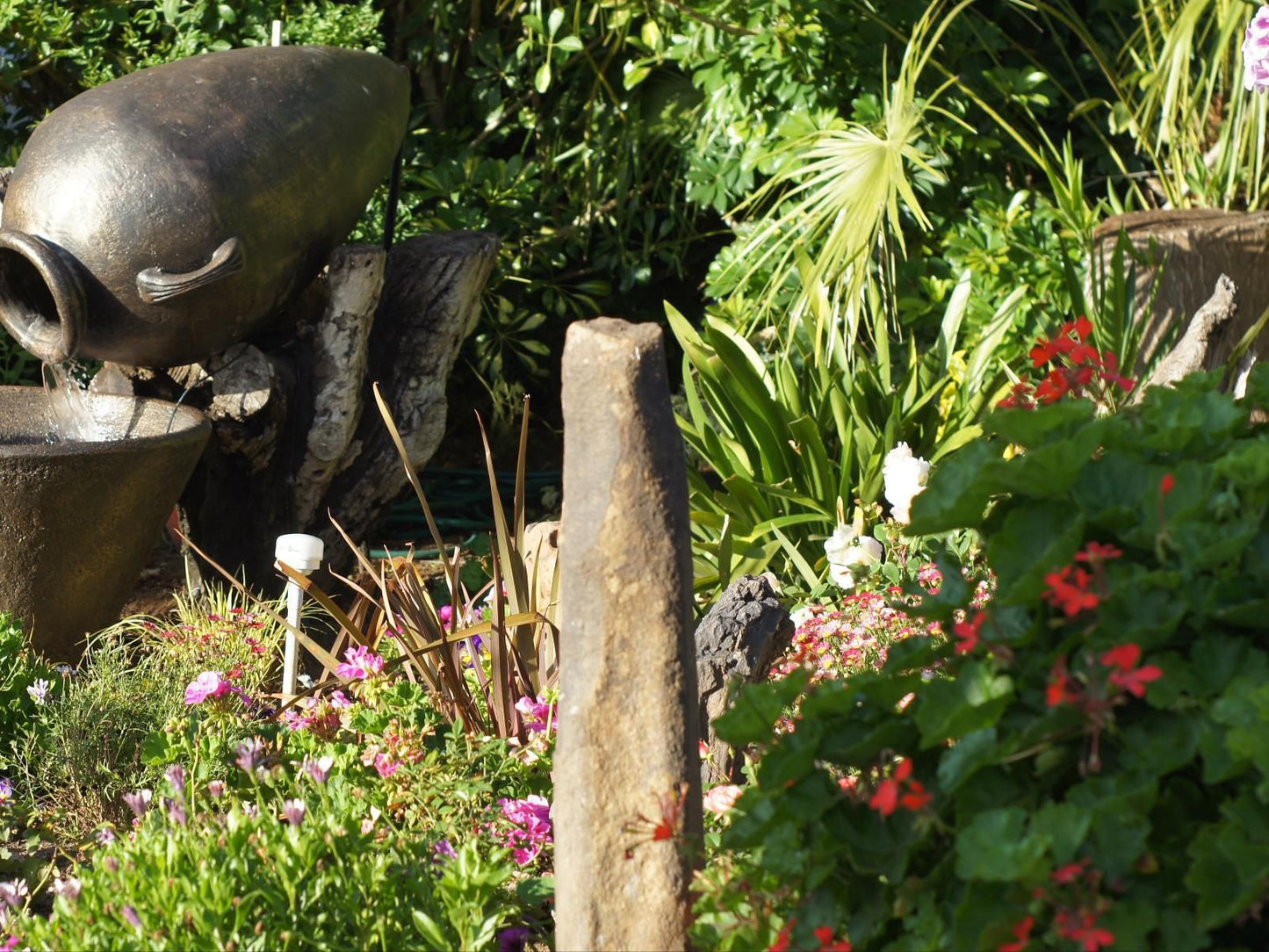 Beau And I Graaff Reinet Eastern Cape South Africa Plant, Nature, Reptile, Animal, Garden