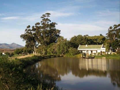 Beaumont Wines Accommodation Bot River Western Cape South Africa Complementary Colors, River, Nature, Waters, Highland