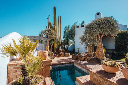 Beausoleil The Loft Bonnievale Western Cape South Africa Complementary Colors, Cactus, Plant, Nature, House, Building, Architecture, Garden, Swimming Pool