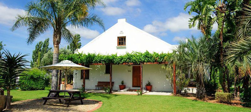 Beausoleil Garden Room Bonnievale Western Cape South Africa Complementary Colors, House, Building, Architecture, Palm Tree, Plant, Nature, Wood