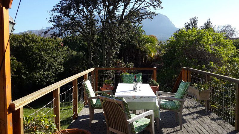 Beautiful Mountain View Rondebosch Cape Town Western Cape South Africa Mountain, Nature, Palm Tree, Plant, Wood