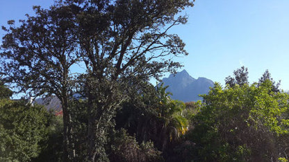 Beautiful Mountain View Rondebosch Cape Town Western Cape South Africa Nature