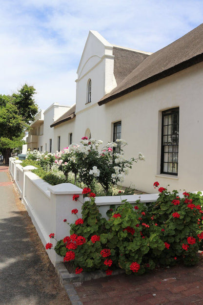 Becketts Bliss Worcester Western Cape South Africa House, Building, Architecture, Rose, Flower, Plant, Nature