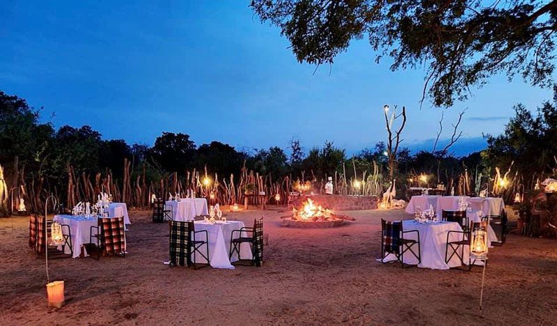 Becks Safari Lodge Karongwe Private Game Reserve Limpopo Province South Africa Place Cover, Food