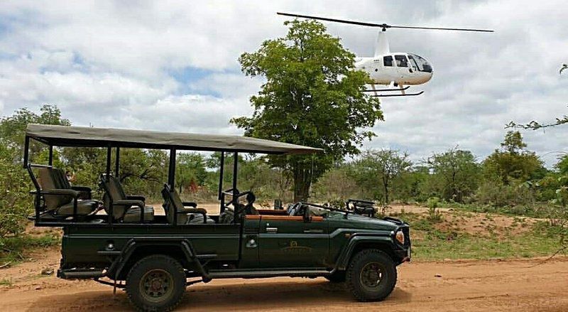 Becks Safari Lodge Karongwe Private Game Reserve Limpopo Province South Africa Vehicle