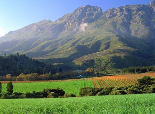 Bed And Breakfast 9 Libertas Stellenbosch Western Cape South Africa Complementary Colors, Field, Nature, Agriculture, Mountain