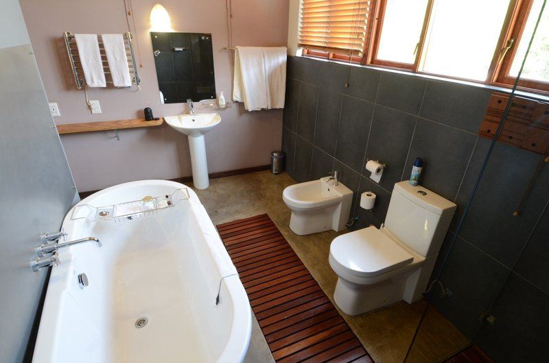 Bed And Breakfast In Hatfield Hatfield Pretoria Tshwane Gauteng South Africa Bathroom