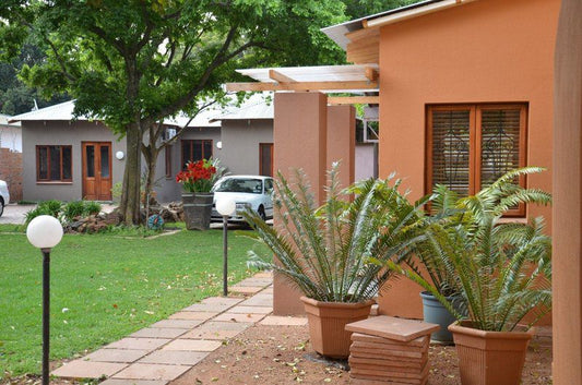 Bed And Breakfast In Hatfield Hatfield Pretoria Tshwane Gauteng South Africa House, Building, Architecture, Palm Tree, Plant, Nature, Wood
