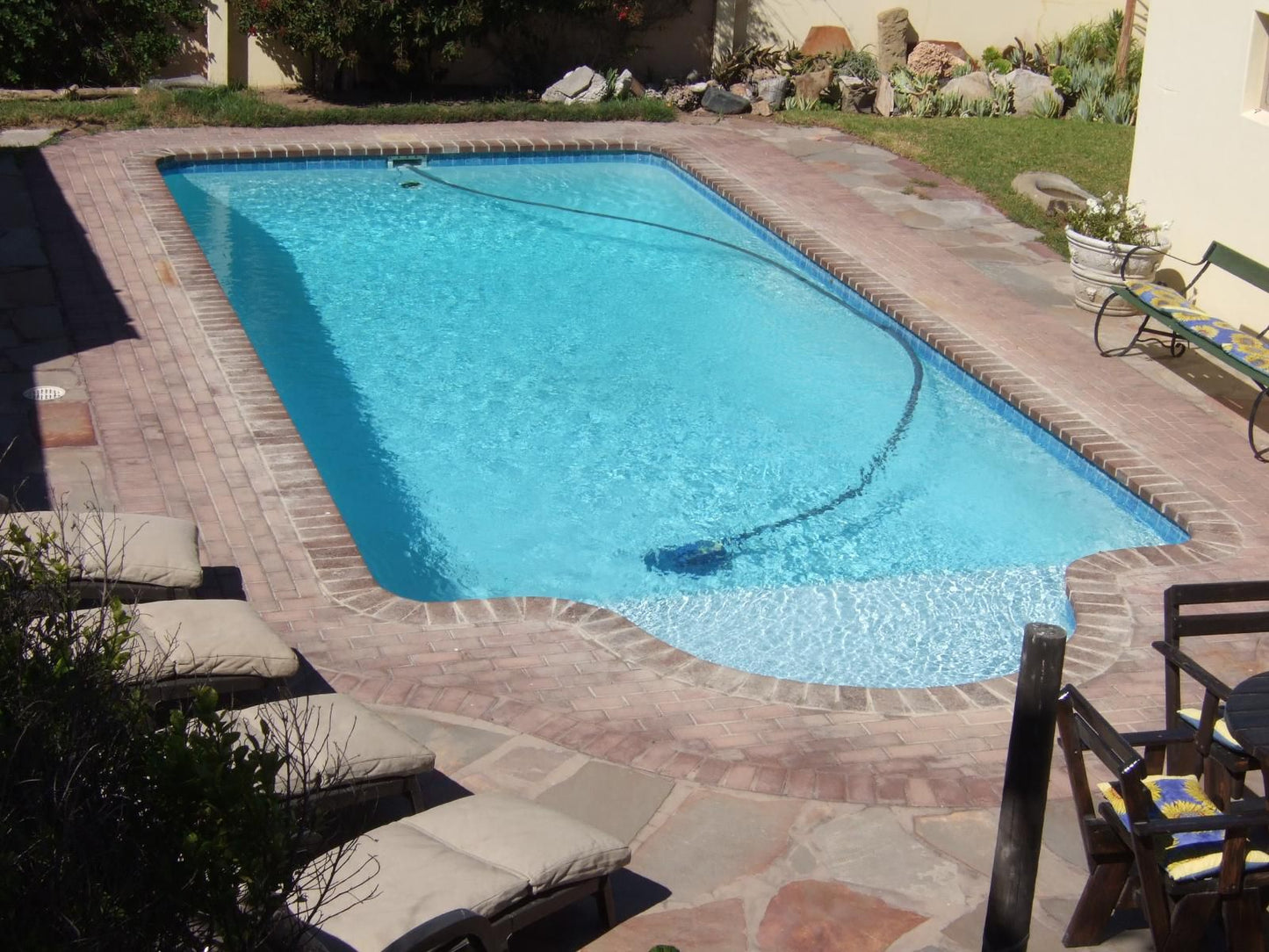 Bedrock Lodge, Garden, Nature, Plant, Swimming Pool