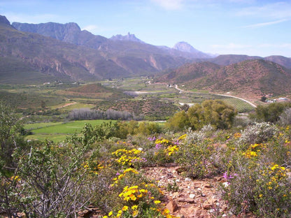 The Country Garden Ladismith Western Cape South Africa Complementary Colors, Nature